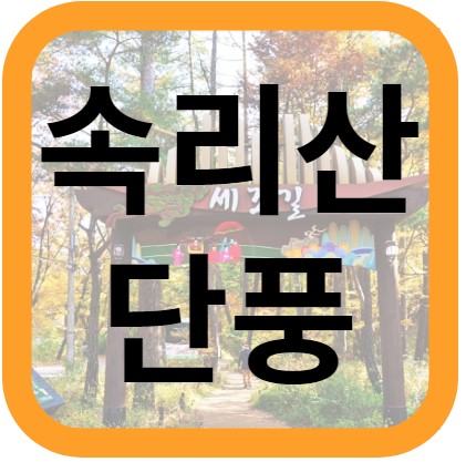 속리산 단풍시기